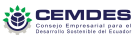 CEMDES_Brand_2021 (1)