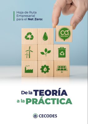 Hoja de Ruta Empresarial hacia el Net Zero